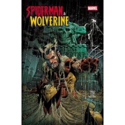 SPIDER-MAN WOLVERINE 3 DAN PANOSIAN VAR