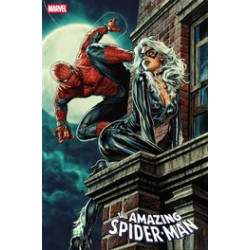 AMAZING SPIDER-MAN 7 LEE BERMEJO BLACK CAT VAR