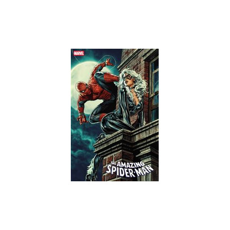 AMAZING SPIDER-MAN 7 LEE BERMEJO BLACK CAT VAR
