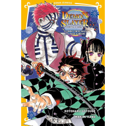 DEMON SLAYER ROMAN JEUNESSE T07