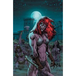 RED SONJA VS AOD 5 CVR E RANEY METAL PREMIUM CVR