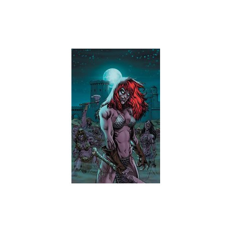 RED SONJA VS AOD 5 CVR E RANEY METAL PREMIUM CVR