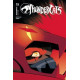 THUNDERCATS 19 CVR B SHALVEY