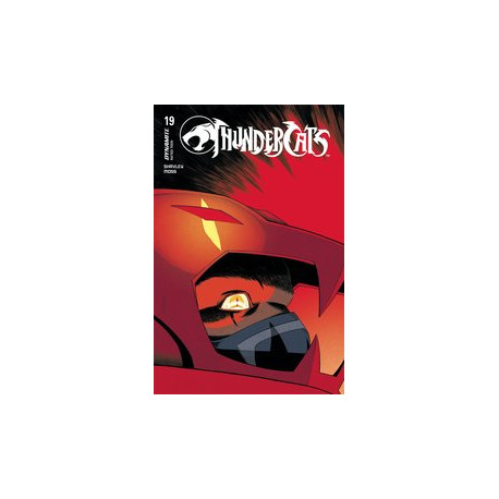 THUNDERCATS 19 CVR B SHALVEY