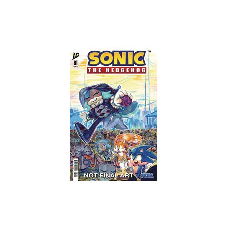 SONIC THE HEDGEHOG 81 CVR B DUTREIX