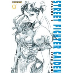 STREET FIGHTER GAIDEN TP VOL 1