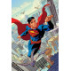 SUPERMAN UNLIMITED 4 CVR C HAYDEN SHERMAN CARD STOCK VAR