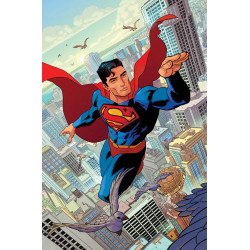 SUPERMAN UNLIMITED 4 CVR C HAYDEN SHERMAN CARD STOCK VAR