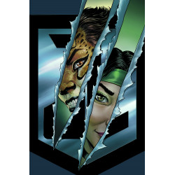 CHEETAH AND CHESHIRE ROB THE JUSTICE LEAGUE 1 OF 6 CVR A NICOLA SCOTT