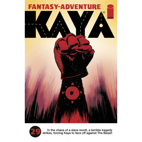 KAYA 29 CVR A WES CRAIG