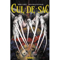 CUL-DE-SAC 1 OF 4 CVR A 