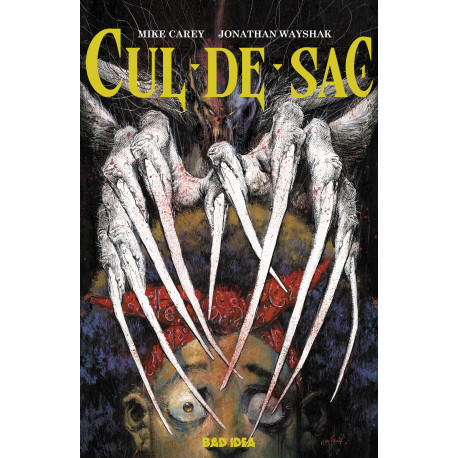 CUL-DE-SAC 1 OF 4 CVR A 