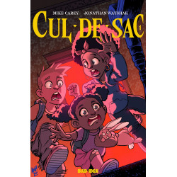 CUL-DE-SAC 1 OF 4 CVR B TONY FLEECS CURSED MIRROR VAR