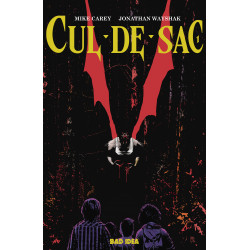 CUL-DE-SAC 1 OF 4 CVR D 1 20 ANDREA SORRENTINO VAR