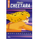 CHEETARA WORLDBREAKER 1 CVR E ANIMATION ART