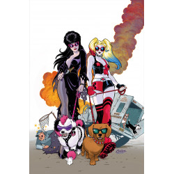 HARLEY QUINN X ELVIRA 2 CVR J AMANDA CONNER 1 LTD VIR