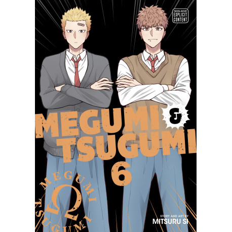 MEGUMI TSUGUMI GN VOL 6