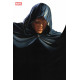 ALL-NEW VENOM 10 ALEX ROSS TIMELESS VIRGIN VAR