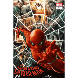AMAZING SPIDER-MAN 11 LEE BERMEJO AMAZING VISIONS VAR