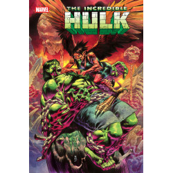 INCREDIBLE HULK 29
