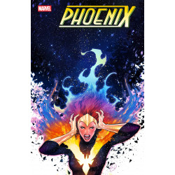 PHOENIX 15
