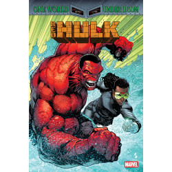 RED HULK 8