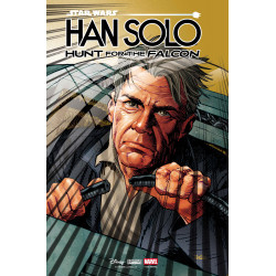 STAR WARS HAN SOLO HUNT FOR THE FALCON 1 DAN PANOSIAN VAR