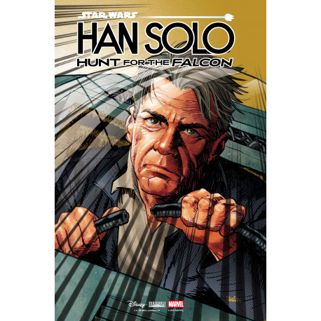 STAR WARS HAN SOLO HUNT FOR THE FALCON 1 DAN PANOSIAN VAR