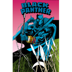 BLACK PANTHER REVENGE OF THE BLACK PANTHER HC OMNIBUS DENYS COWAN COVER