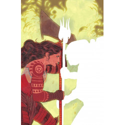 ABSOLUTE WONDER WOMAN 12 CVR A HAYDEN SHERMAN