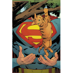 SUPERMAN UNLIMITED 5 CVR D MATTEO LOLLI CARD STOCK VAR