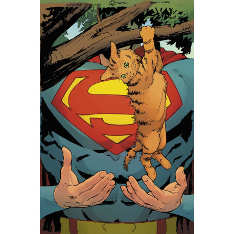 SUPERMAN UNLIMITED 5 CVR D MATTEO LOLLI CARD STOCK VAR