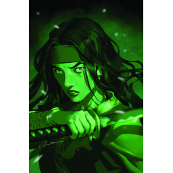 CHEETAH AND CHESHIRE ROB THE JUSTICE LEAGUE 2 OF 6 CVR B GERALD PAREL CARD STOCK VAR