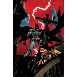 BATMAN AND ROBIN 25 CVR C FICO OSSIO CARD STOCK VAR