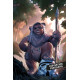 STAR WARS EWOKS
