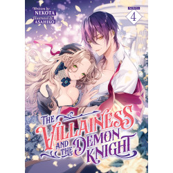 THE VILLAINESS AND THE DEMON KNIGHT LIGHT NOVEL VOL 04