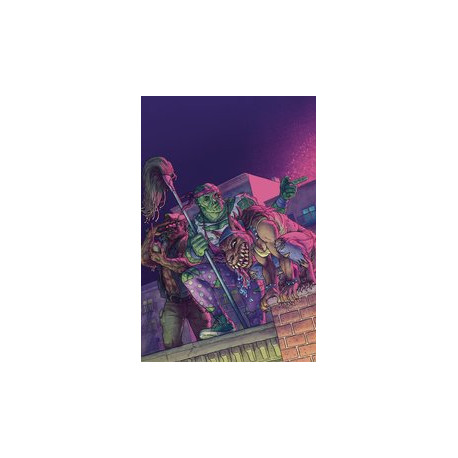 TOXIC CRUSADERS 2 CVR C WRIGHT BAGGED W TC CARD
