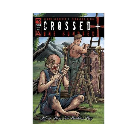 CROSSED PLUS 100 9 CROSSED WIRES CVR
