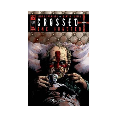 CROSSED PLUS 100 17 CROSSED WIRES CVR