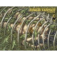 JUNGLE FANTASY SURVIVORS 4 WRAP CVR