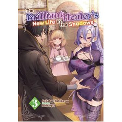 BRILLIANT HEALERS NEW LIFE IN SHADOWS NOVEL SC VOL 3