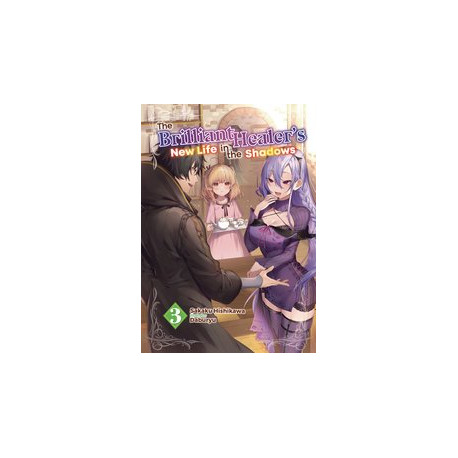 BRILLIANT HEALERS NEW LIFE IN SHADOWS NOVEL SC VOL 3