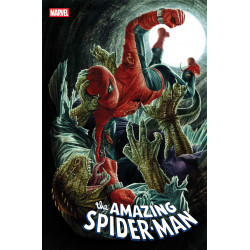 AMAZING SPIDER-MAN 13 LEE BERMEJO AMAZING VISIONS VAR
