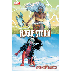 ROGUE STORM 1