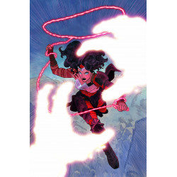 ABSOLUTE WONDER WOMAN 13 CVR A HAYDEN SHERMAN