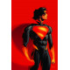 ABSOLUTE SUPERMAN 12 CVR C KRIS ANKA CARD STOCK VAR