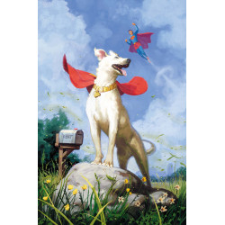 KRYPTO THE LAST DOG OF KRYPTON 5 OF 5 CVR B DAVID TALASKI CARD STOCK VAR