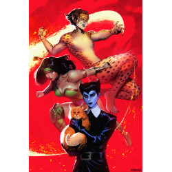 CHEETAH AND CHESHIRE ROB THE JUSTICE LEAGUE 3 OF 6 CVR C NOOBOVICH CARD STOCK VAR