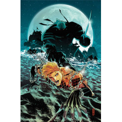 AQUAMAN 10 CVR A JOHN TIMMS