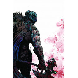 SPAWN THE DARK AGES 1 OF 6 CVR C LIAM MCCORMACK SHARP VIRGIN VAR